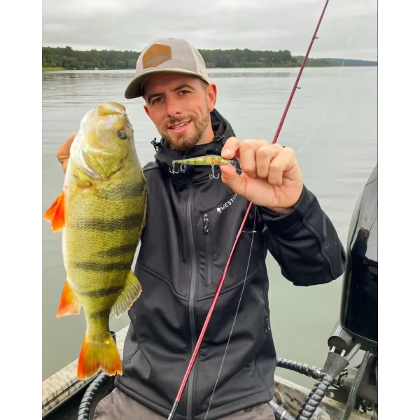 Westin Jerkbite MR 7.5cm 6g - Suspending Jerkbait & Twitchbait