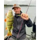 Westin Jerkbite MR 7.5cm 6g - Suspending Jerkbait & Twitchbait