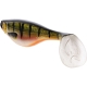 Westin ShadTeez Lure 9cm Single Loose Lures