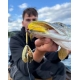 Westin Spinstrike Bucktail 14g Spinnerbait