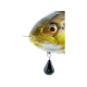 Westin Tommy The Trout Multy Jointed R2F