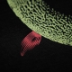 KUMU Ouroborus T-Shirt Pike Design