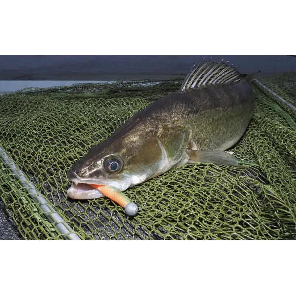 NOIKE Smokin Swimmer Shad Soft Lures