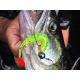 Spro Freestyle Tungsten Bottom Jigs Cheb Rig Weights