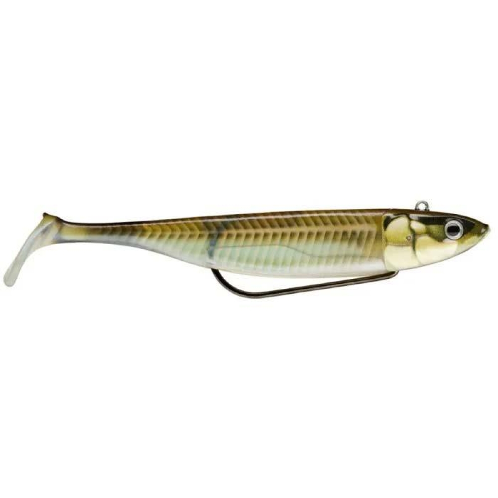 Storm 360GT Coastal Biscay Shad Weedless Lures Double Combo Bass Cod ...
